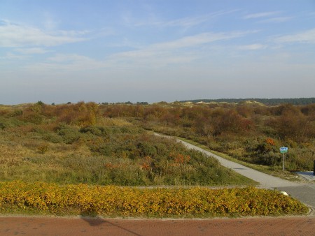 Zomerdag, zicht vanuit de groene kamer