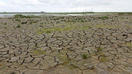 Zicht op de Jachthaven